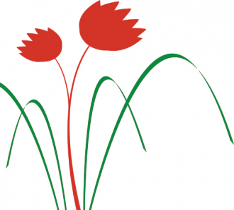 Tulipány